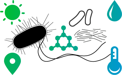 Factores de biodiversidade