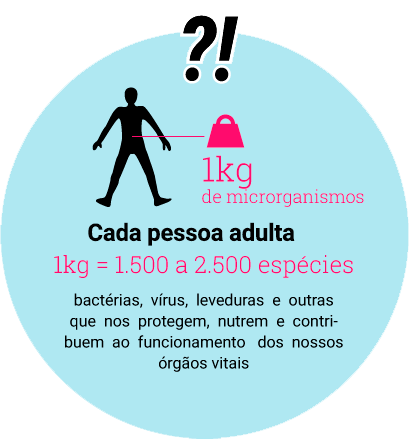 A pessoa adulta é, também, um ecosistema?