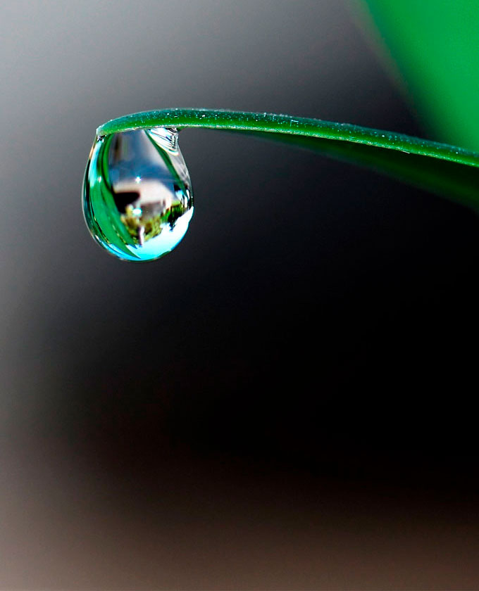 Por vezes sentimos que aquilo que fazemos é apenas uma gota no oceano, mas sem essa gota o oceano seria menor.