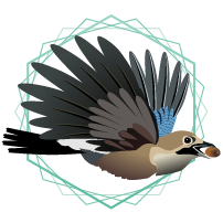 Isabel Cruz Alves. Naturalista e fundadora e coordenadora do Eko-Kya