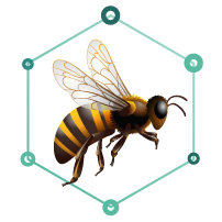 Margarida Monteiro, a conectora do Eko-Kya