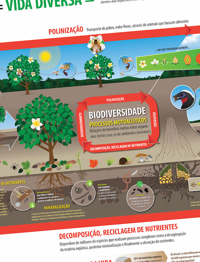 Processos de mutualismo